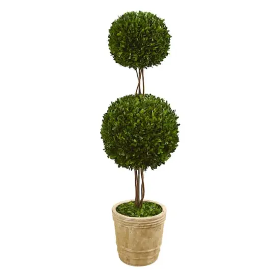 4ft. Boxwood Double Ball Topiary Tree in Planter {1}