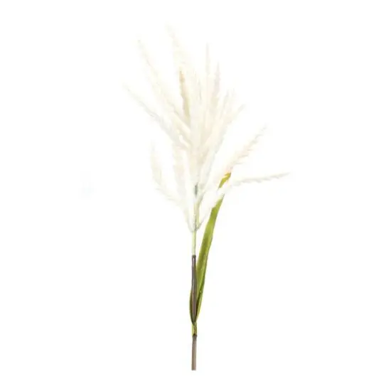 34" White Astilbe Stems, 6ct. {5}