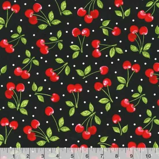 Robert Kaufman Summertime Cotton Fabric {3}