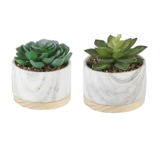 Flora Bunda&reg; 6" Succulent in Marble Container, 2ct. {1}