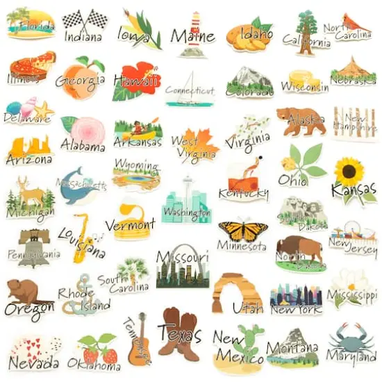 50 States Vinyl Stickers by Recollections&trade; {4}