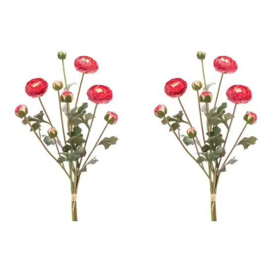 Red Ranunculus Bundle, 2ct. {1}