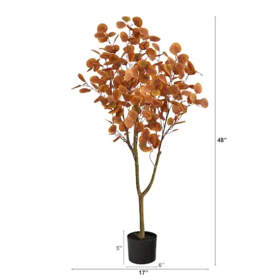 4ft. Potted Autumn Eucalyptus Tree {4}