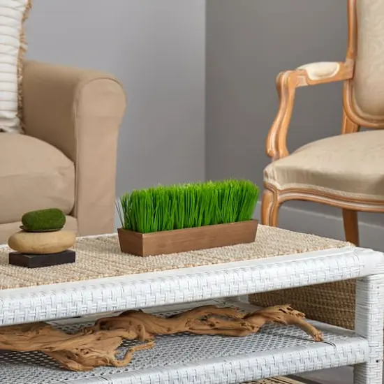 5" Grass Plant in Decorative Planter {6}