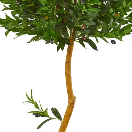 5ft. Potted Olive Topiary Tree {4}