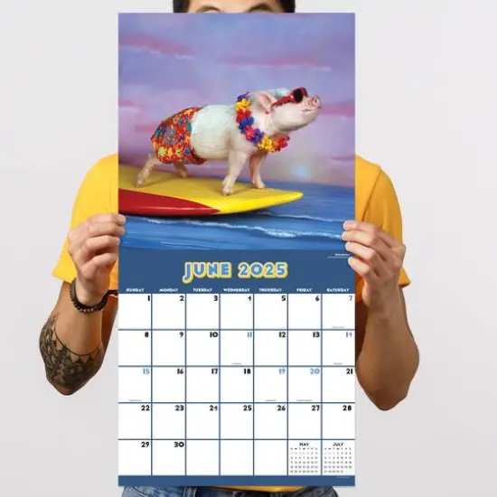 TF Publishing 2025 Playful Pigs Wall Calendar {5}