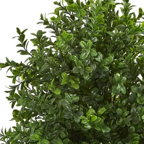 23" Sweet Grass in Basket {5}