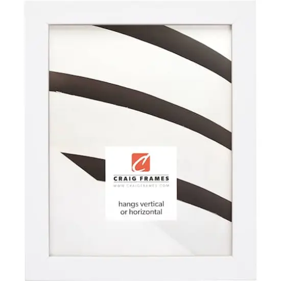 Craig Frames Essentials Satin White Picture Frame {1}