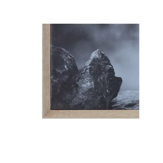 Hello Honey&reg; Black & White Donkey on Canvas Wood Framed Wall D&eacute;cor {5}