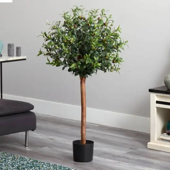 4ft. Potted Olive Topiary Tree {4}