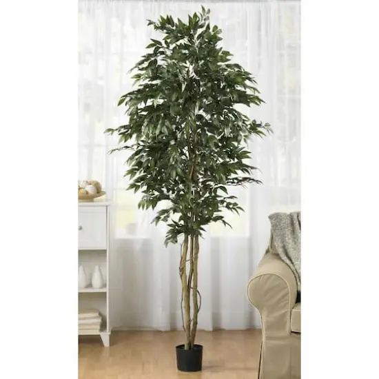 6ft. Potted Smilax Tree {3}
