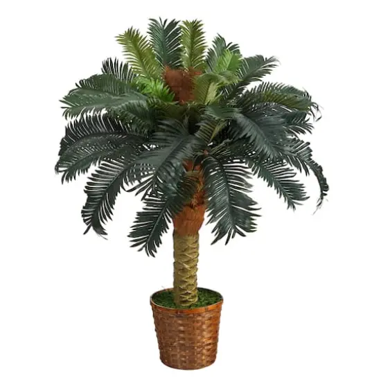3ft. Sago Palm Tree in Woven Planter {1}