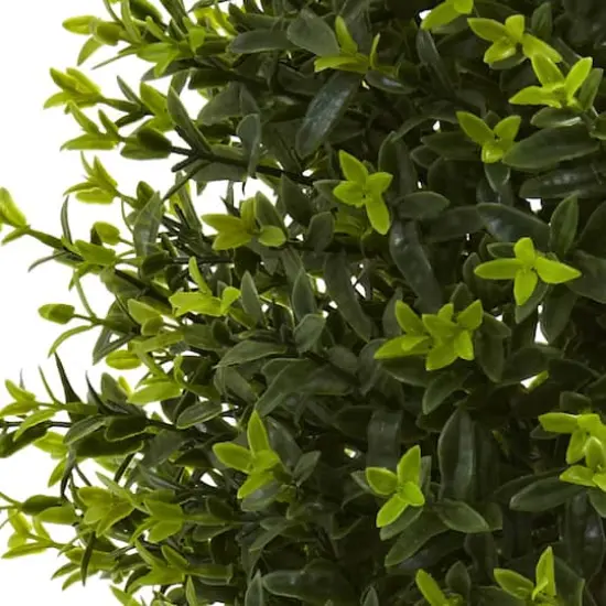 3ft. Potted Ixora Topiary {3}