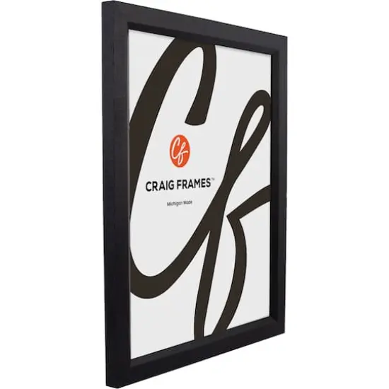 Craig Frames Economy Ebony Hardwood Picture Frame {3}