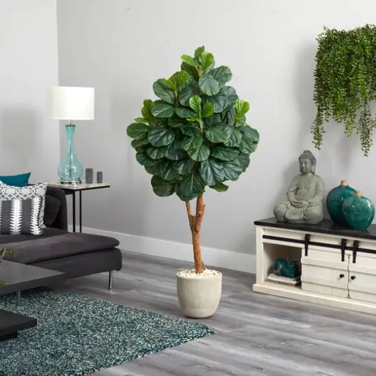 5.5ft. Fiddle Leaf Fig Tree in Sandstone Planter {5}