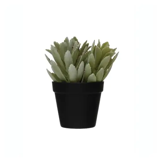 Hello Honey&reg; Faux Succulent In Pot {1}