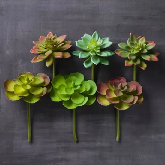 Assorted 5" Succulent Pick by Ashland&reg;, 1pc. {3}