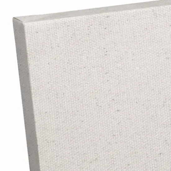 Dashing Snow Sled 20x30 Canvas Wall Art {4}