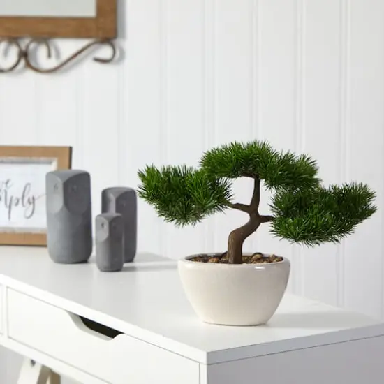 10" Cedar Bonsai Tree in White Planter {4}