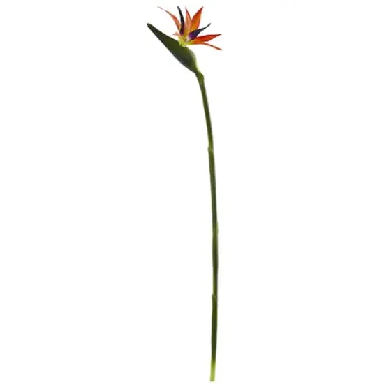 Orange Bird of Paradise Stems, 4ct.  {1}