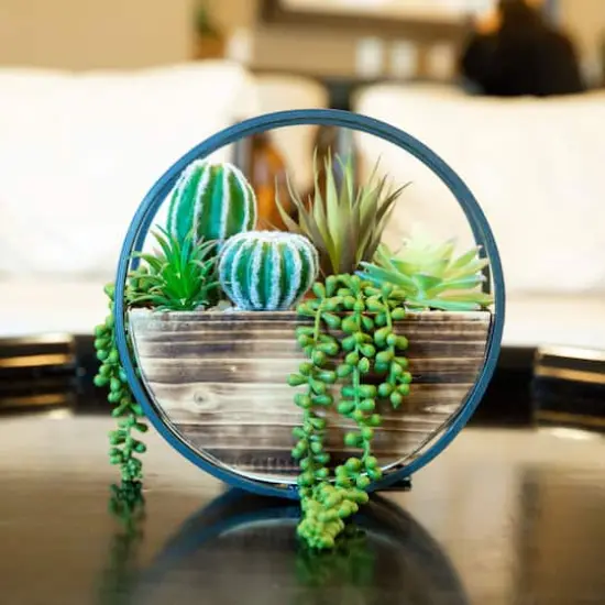 Flora Bunda&reg; 11" Round Wood & Metal Wall Succulent Mix {4}