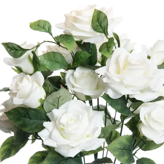 White Rose Bush by Ashland&reg; {3}
