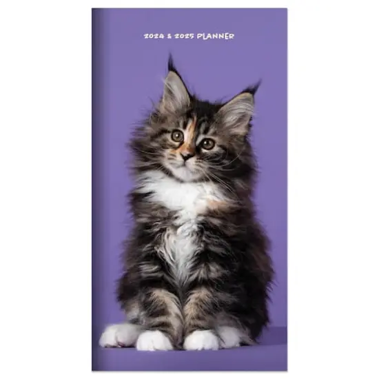 2024-2025 Kitten Monthly Pocket Planner {1}