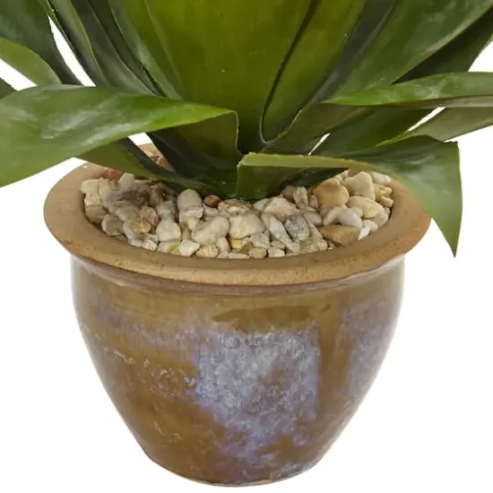 14" Agave Plant in Glazed Clay Pot {4}