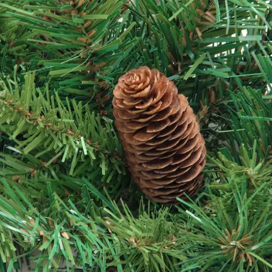 4ft. Unlit Dakota Red Pine Artificial Christmas Tree with Pinecones {3}