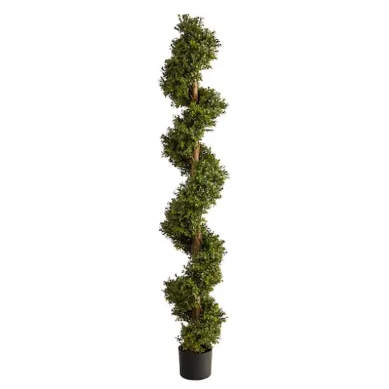 6ft. Potted Spiral Boxwood Topiary Tree {1}