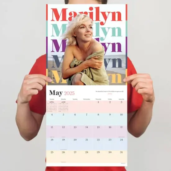 TF Publishing 2025 Marilyn Monroe Wall Calendar {6}
