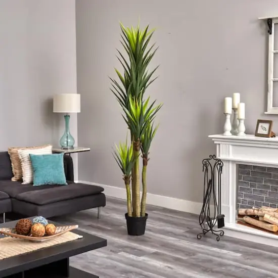 7ft. Potted Dracaena Tree {4}