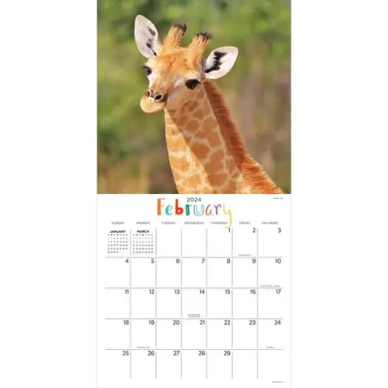 TF Publishing 2024 Baby Animals Wall Calendar {4}