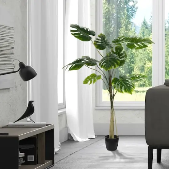 4.5ft. Potted Grand Split Philodendron Tree {3}