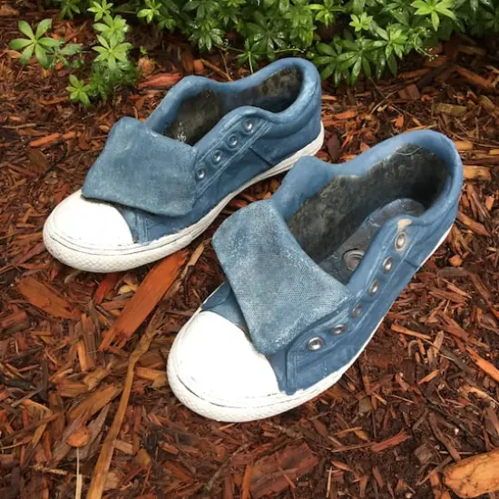 Santa's Workshop 11" Blue Sneaker Cement Planter, 2ct. {3}