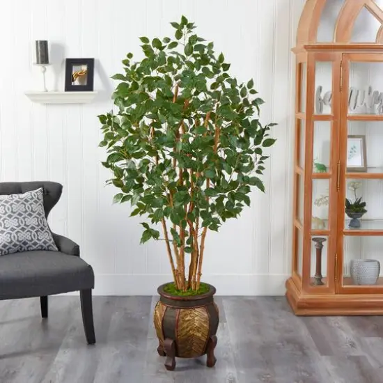 5.5ft. Bushy Ficus Tree in Decorative Planter {4}