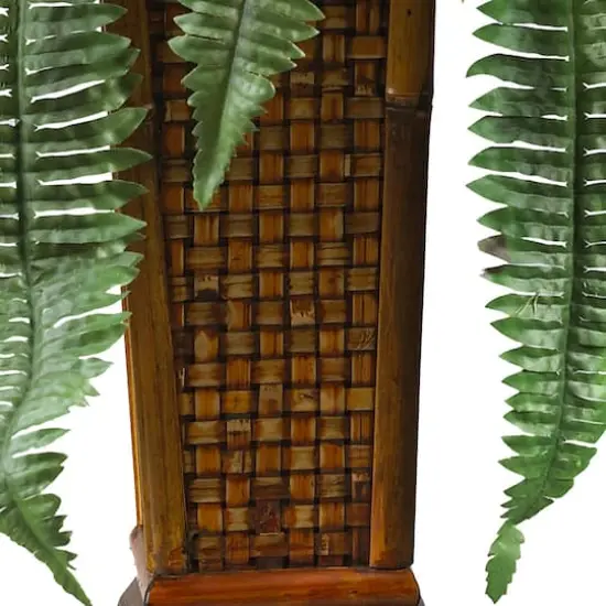 2.5ft. Boston Fern in Wood Vase {4}