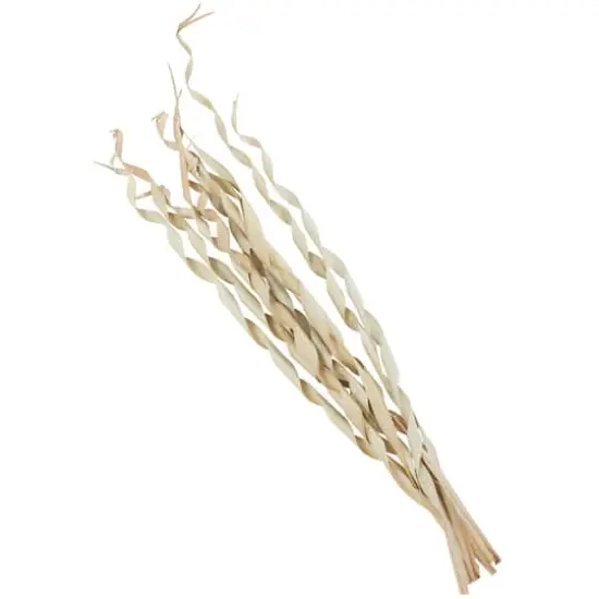 Cream Palm Leaf Tall Rolled Natural Foliage Bundle {3}