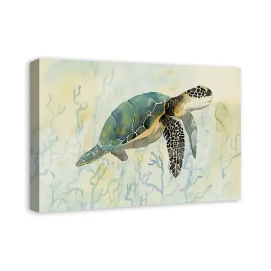 Green Sea Turtle 24" x 16" Canvas Wall Art {3}