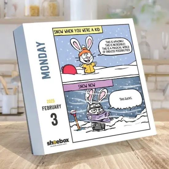 TF Publishing 2025 Shoebox Daily Desktop Calendar {4}