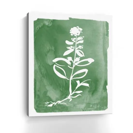 Green Botanical III Canvas Giclee {4}