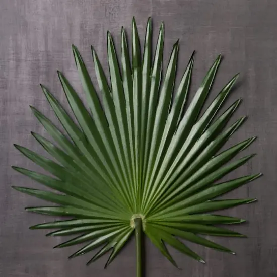 Tropical Fan Palm Stem by Ashland&reg; {3}
