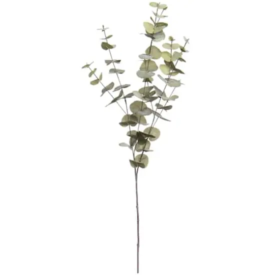 38" Light Green Eucalyptus Stem by Ashland&reg; {1}