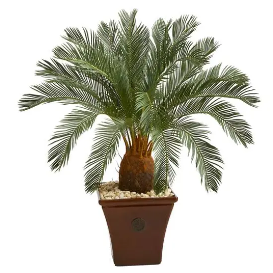 3.5ft. Cycas Tree in Brown Planter {1}