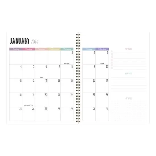 TF Publishing 2025-2026 Striped Down Large Weekly/Monthly Planner {3}