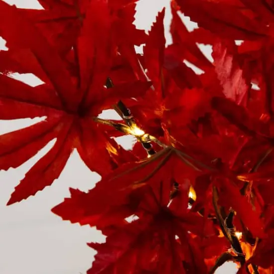 2ft. Pre-Lit Red Autumn Maple Artificial Fall Tree with 50 Warm White LED Lights and Detachable Base {5}