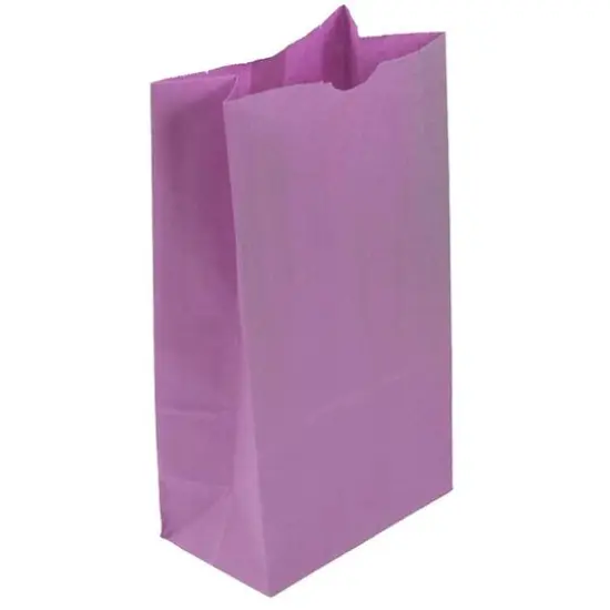 JAM Paper Purple Large Lunch Bags, 500ct. {1}