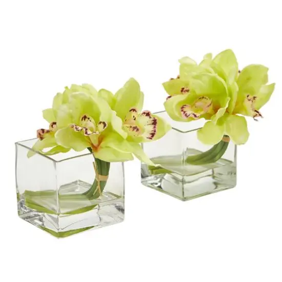 8" Boat Orchid Arrangement in Glass Vase, 2ct. Green {1}