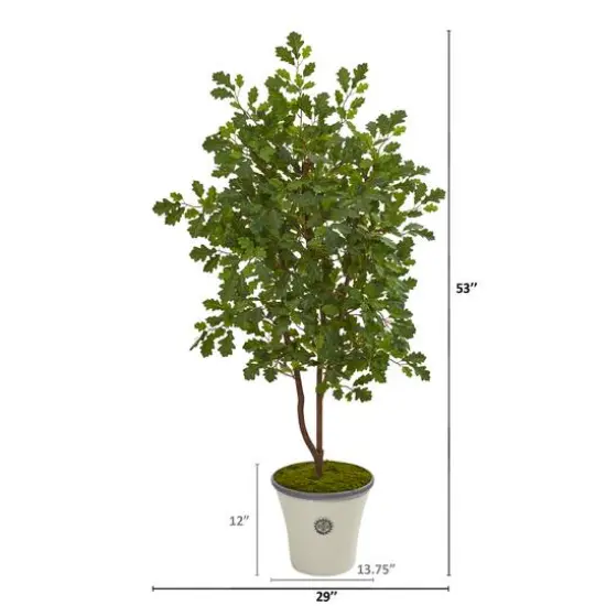 4.5ft. Oak Tree in Decorative Planter {3}