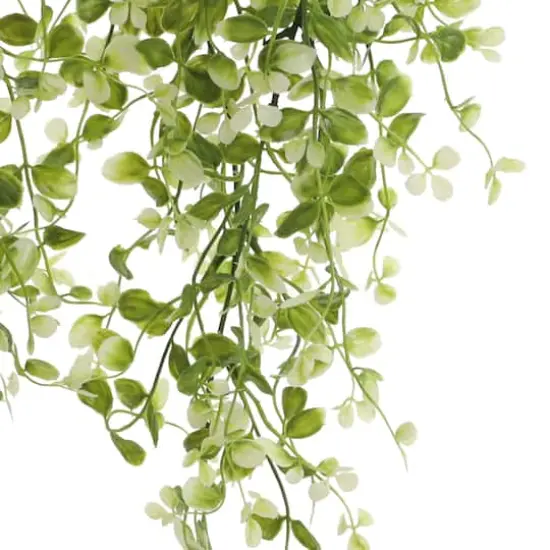 Two Toned Green Hanging Smilax Bush by Ashland&reg; {3}